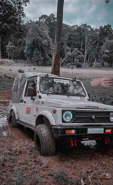 我们将深入 我们将深入