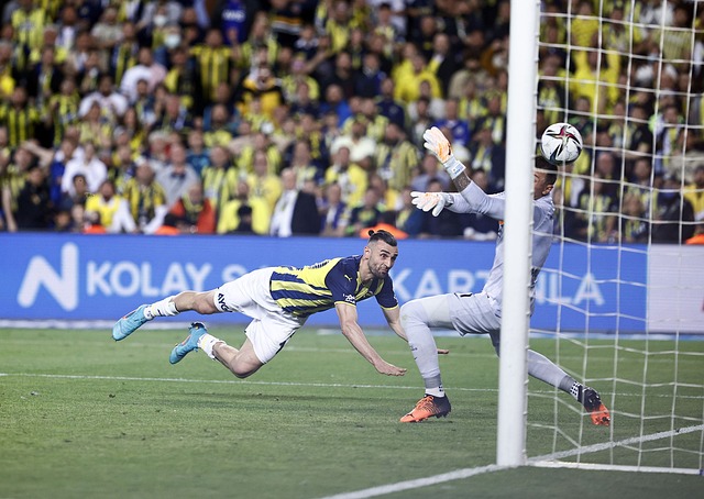 中的地位 中的地位