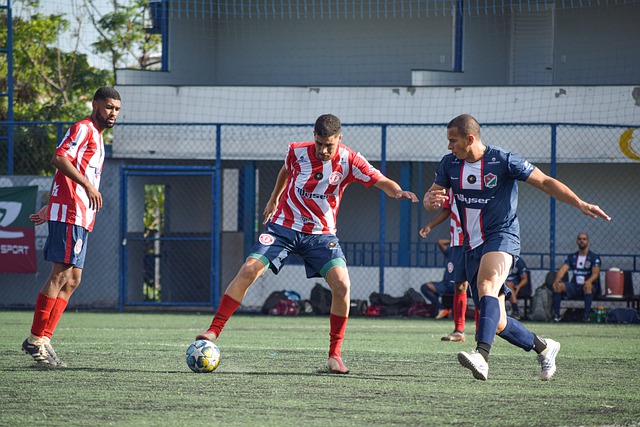 向来以青春 向来以青春