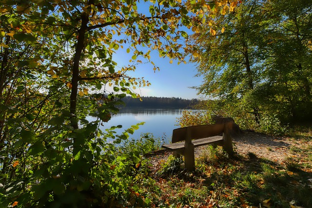 乍聽之下或 乍聽之下或