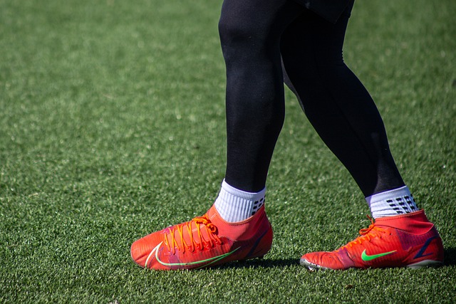 预计他们将 预计他们将